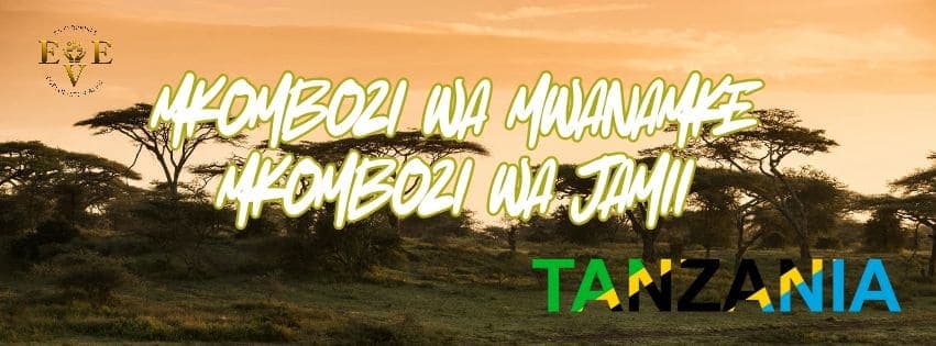 Eve's Dynamics Office